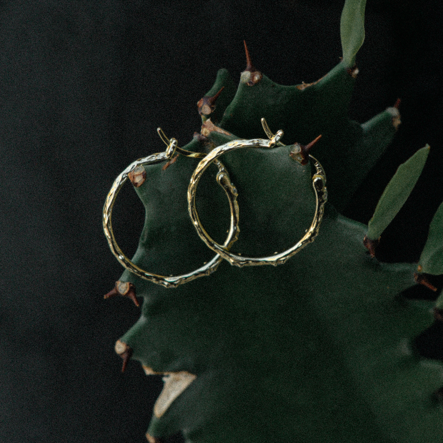 Pedra Earrings