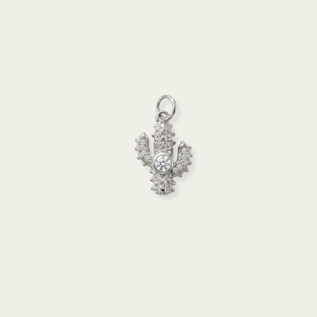 Saguaro Charm