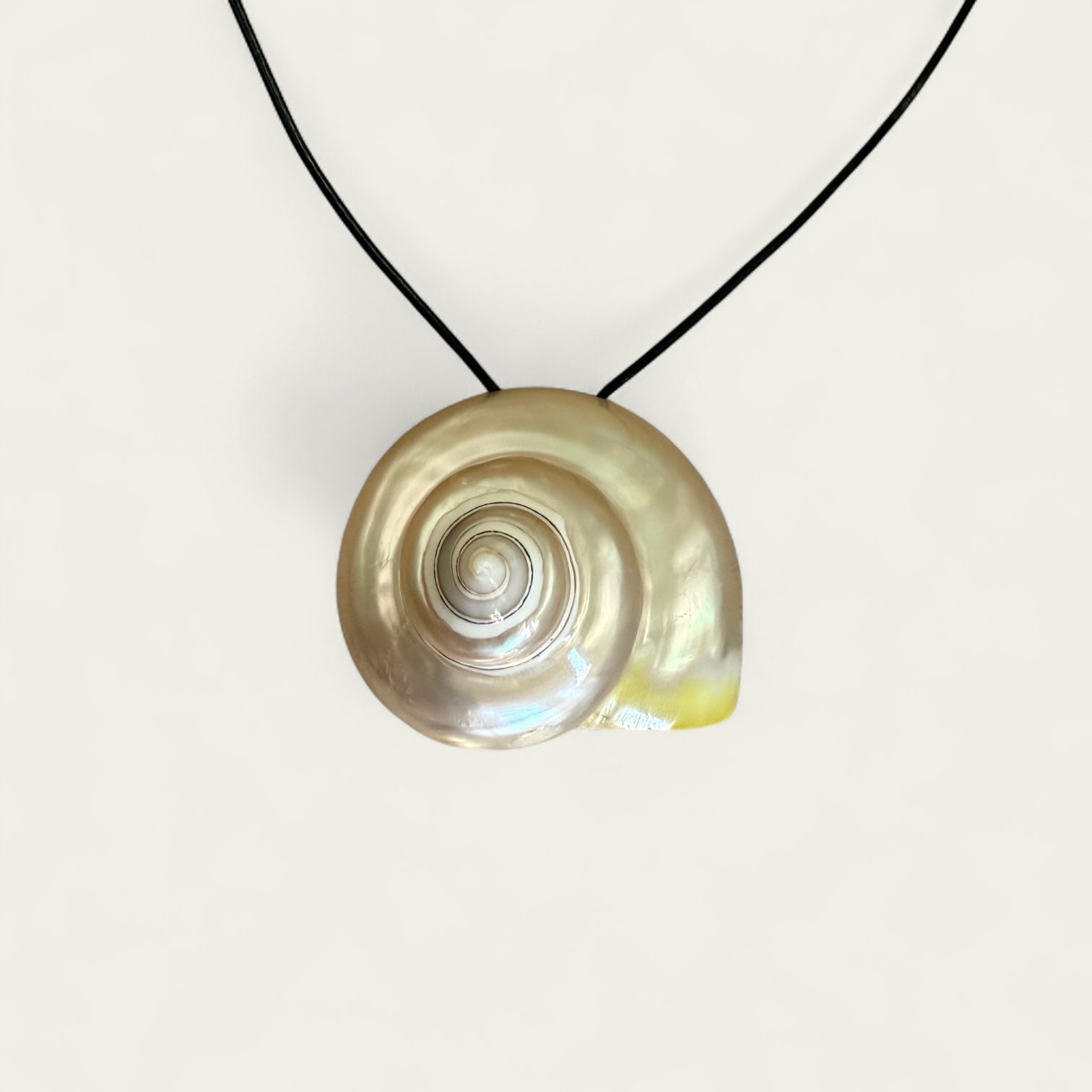 Massive Spiral Shell Necklace