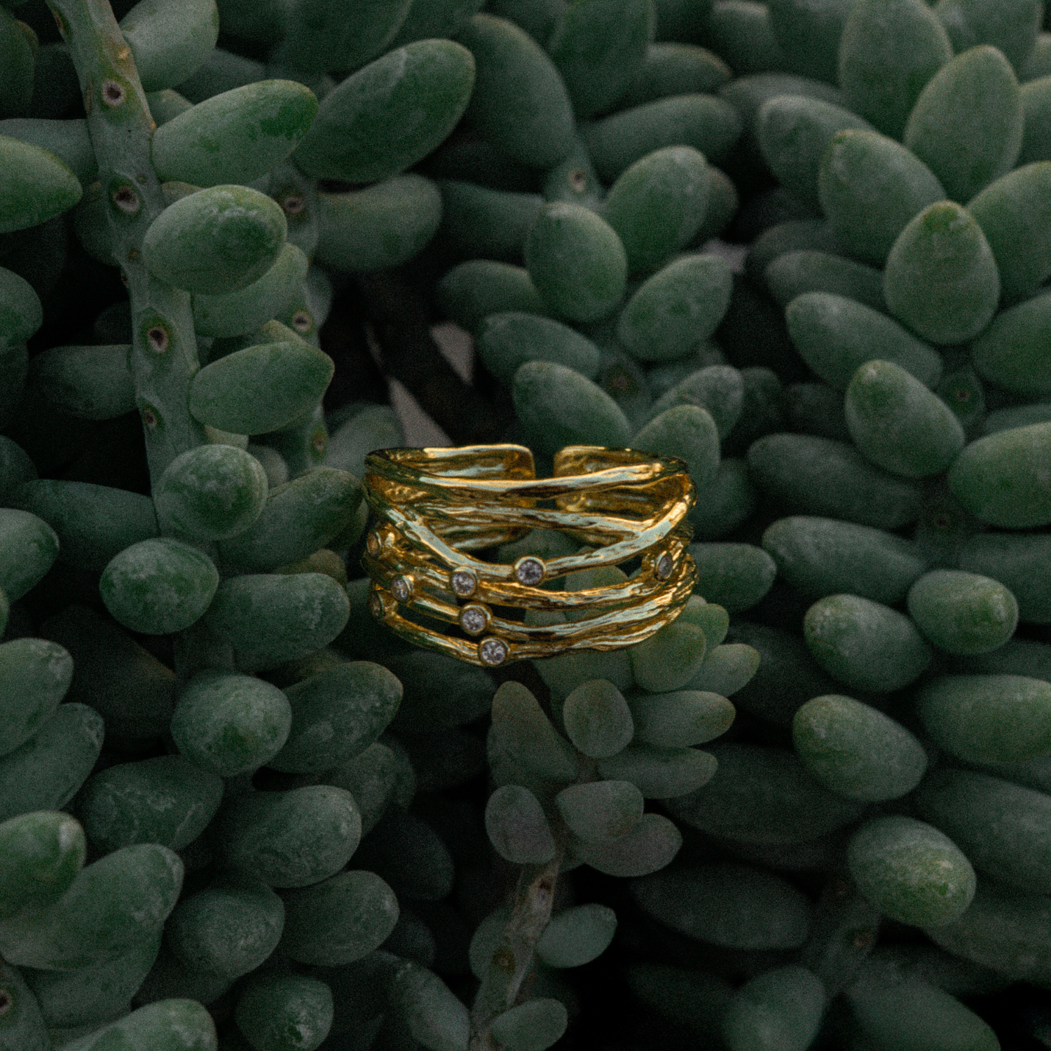 Roca ring