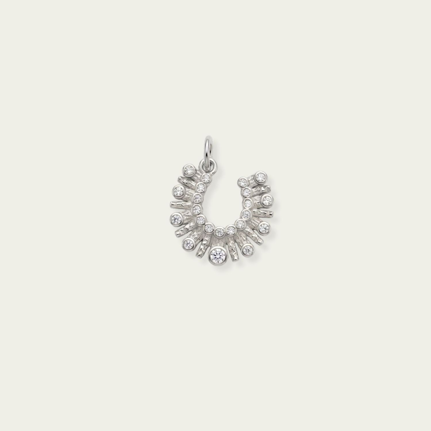 Horseshoe Charm