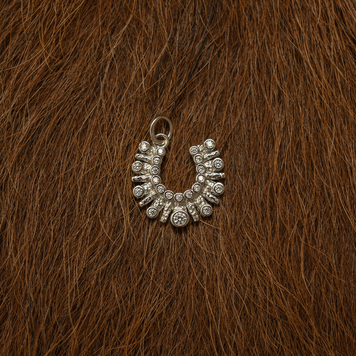 Horseshoe Charm