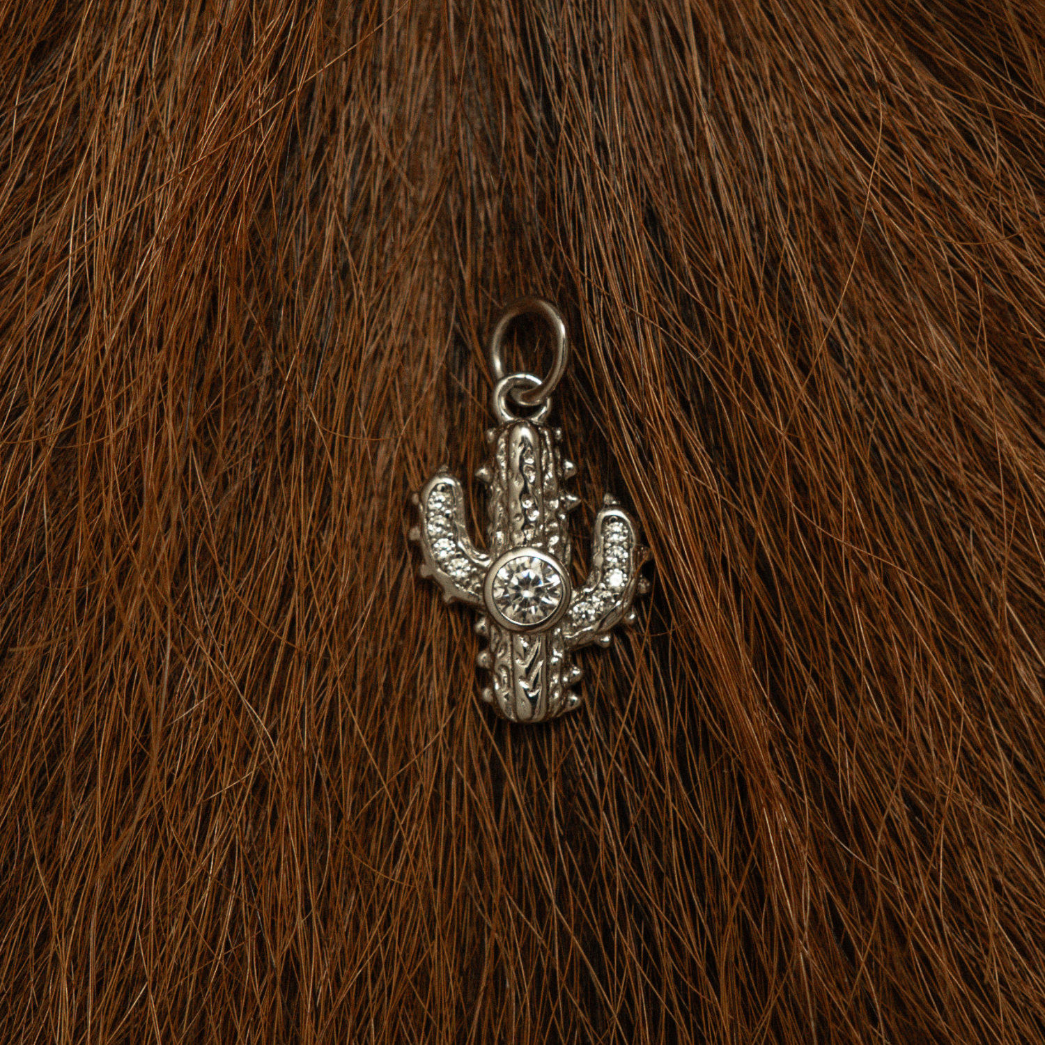 Saguaro Charm